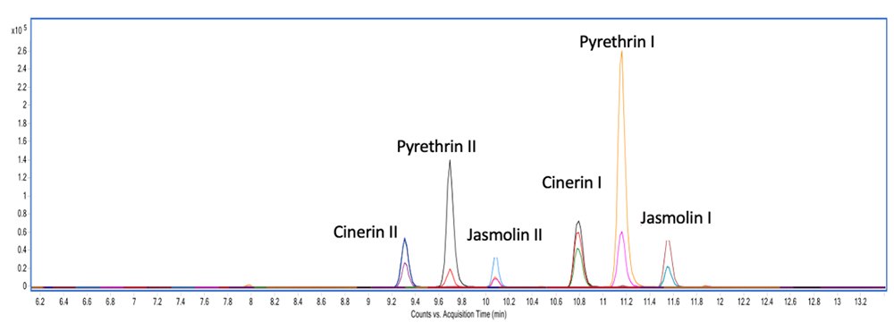 Chromatogram of Pyrethrins A chromatogram showing the analysis of six pyrethrins under identical chromatographic conditions. The x-axis, labeled “Counts vs. Acquisition Time (min),” ranges from 6 to 12 minutes, while the y-axis, labeled “Intensity,” ranges from 0 to 30 units. Peaks are labeled for Pyrethrin I, Cinerin I, Jasmolin I, Pyrethrin II, Cinerin II, and Jasmolin II. Each compound is present at a concentration of 4 ng/µL in a solvent mixture of acetonitrile and water (70/30 v/v).