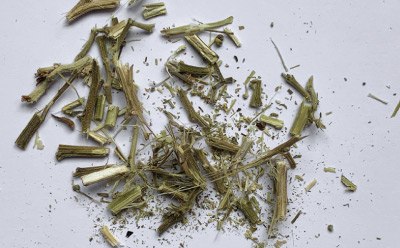 Cannabis sativa “Santhica” Separated into Stems