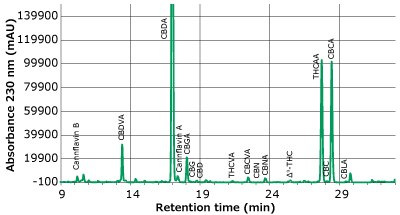 Chromatogram of mix of hemp flower acetone extracts A chromatogram plotted between absorbance (measured in mAU) on y-axis and retention time (measured in minutes) on x-axis, depicting clear labeled peaks of cannabinoids and cannflavins derived from a mix of hemp flower acetone extracts at a dilution of 50X, captured at a wavelength of 230 nm