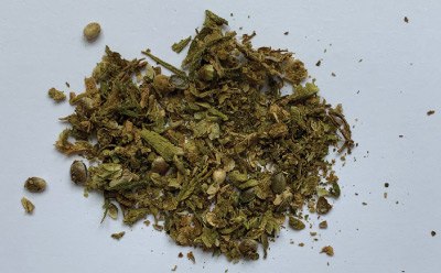 Hemp Buds “Finola” After Three Minutes Grinding Using a Wooden Rolling Pin. Hemp Buds “Finola” After Three Minutes of Grinding Using a Wooden Rolling Pin.
