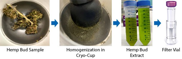 Sample preparation workflow for hemp bud Step-by-step workflow for sample preparation of hemp bud for the analysis of 17 cannabinoids by HPLC-PDA