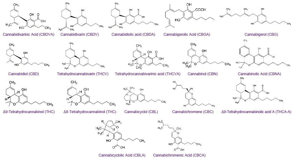 Chemical structures of seventeen cannabinoids Chemical structures of seventeen cannabinoids analyzed by HPLC-PDA (high-performance liquid chromatography - photodiode array)