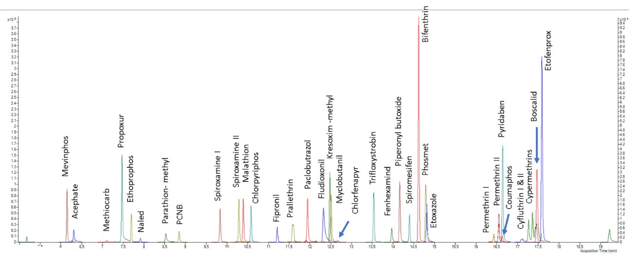 MRM extracted chromatogram of GC-MS/MS amenable pesticides in the California list - Standard at 200 ppb MRM extracted chromatogram of GC-MS/MS amenable pesticides in the California list - Standard at 200 ppb