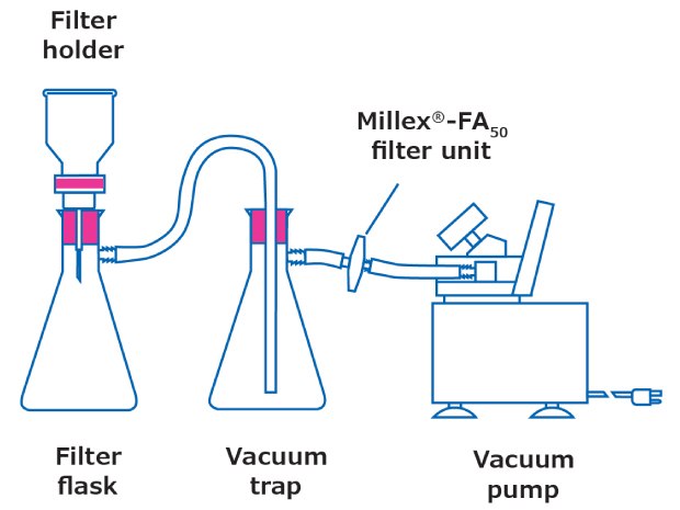 Filtration Setup Filtration setup for microplastics analysis including filter flask, filter holder, vacuum trap, and vacuum pump.