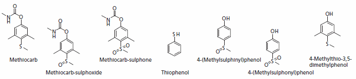 Major Metabolites of Methiocarb Major Metabolites of Methiocarb