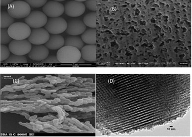 Four images showing the morphologies and pore structures of porous silica spheres (PSS) and mesoporous silica (MS). Image (A) features smooth spherical silica particles, (B) displays porous silica with irregular textures, (C) shows elongated mesoporous silica structures, and (D) highlights ordered silica layers at a scale of 10 nm.