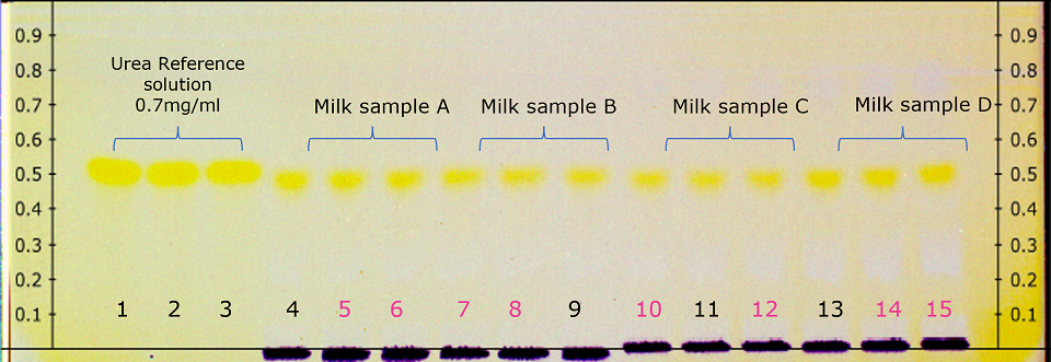 Derivatized HPTLC plate under in white light illumination A derivatized HPTLC plate, viewed under white light, appears in a pale yellow hue. On both edges of the plate, there are 9 black markings, starting from the bottom line used for spotting, labeled from 0.0 to 0.9 at 0.1 cm intervals. Along the bottom, labels 1 to 10 are shown from left to right, with labels 1 to 4 in black and 5 to 10 in pink, representing the ten spots applied. The plate displays ten bright yellow-colored spots between Rf values of 0.45 to 0.55, corresponding to tracks labeled 1 to 10 from left to right. The first three spots on the left are for urea reference solution at a concentration of 0.7 mg/mL, followed by four sets of three spots each for four different milk samples analyzed.
