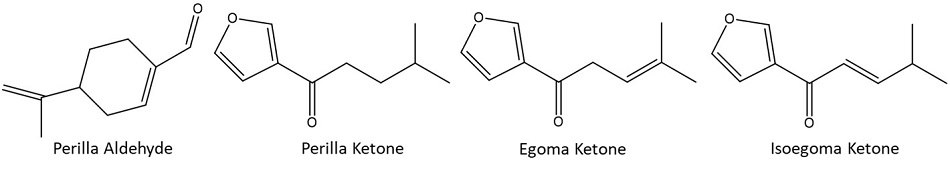 main aroma-active compounds present in Perilla Frutescens species Chemical structures of four aroma-active compounds found in Perilla frutescens species. First from the left is Perilla Aldehyde that consists of a six-membered cyclohexene ring with a methyl group and an aldehyde functional group (−CHO) attached. It is followed by Perilla Ketone featuring a five-membered furan ring linked to a ketone group and a side chain with a methyl group. Then there is Egoma Ketone also including a furan ring, but with a longer side chain terminating in a methyl group. Last is Isoegoma Ketone, structurally similar to Egoma Ketone, differing in the configuration of its side chain. These compounds are responsible for the distinctive aromatic properties of Perilla frutescens.