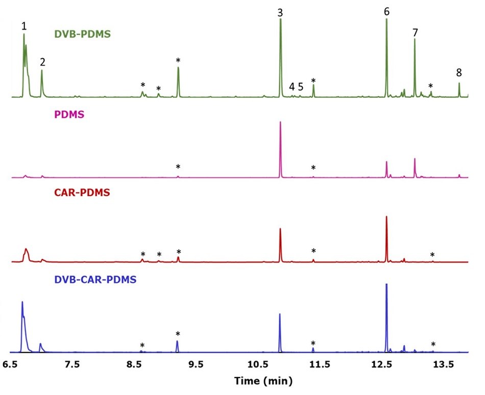 GC/MS chromatograms of fresh Perilla leaves obtained different SPME coatings. Four overlaid GC/MS chromatograms, each representing different SPME (Solid Phase Microextraction) coatings used for the analysis of fresh Perilla leaves. The chromatograms are color-coded and labeled: DVB/PDMS (green), PDMS (pink), CAR/PDMS (red), and DVB/CAR/PDMS (blue). The x-axis represents time in minutes, ranging from 6.5 to 13.5 minutes, while the y-axis reflects signal intensity, adjusted equally across all chromatograms. Distinct peaks corresponding to specific compounds are marked and numbered: (1) 1-Octen-2-ol, (2) 3-octanol, (3) perilla ketone, (4) egoma ketone, (5) isoegoma ketone, (6) (-)-trans-caryophyllene, (7) α-humulene, and (8) (Z,E)-α-Farnesene. Additional peaks marked with an asterisk (*) represent fiber peaks from the SPME coating.