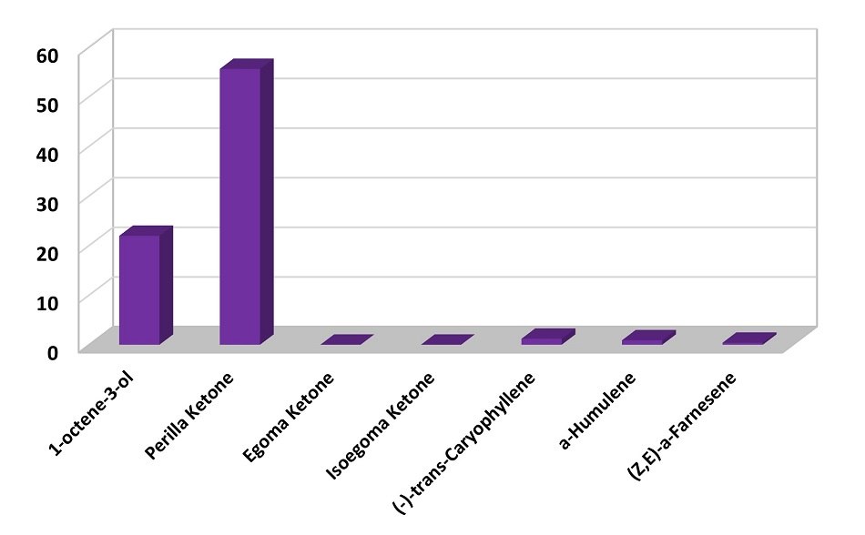 Main volatile components present in dried perilla leaves. A bar chart depicting the relative abundances of the main volatile components in dried Perilla leaves, analyzed using the DVB/PDMS SPME coating. The x-axis lists the compounds: 1-octene-3-ol, Perilla ketone, Egoma ketone, Isoegoma ketone, (-)-trans-Caryophyllene, α-Humulene, and (Z,E)-α-Farnesene. The y-axis represents relative abundance as a percentage, ranging from 0 to 60%. The chart shows that Perilla ketone has the highest abundance, with a bar reaching nearly 60%. 1-octene-3-ol follows with a bar around 20%. The other compounds exhibit minimal or negligible abundances, represented by very short bars near the baseline.