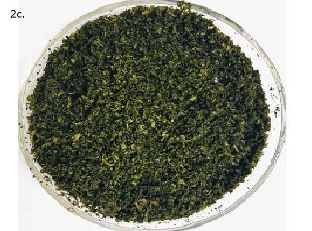Homogenized Perilla Leaves A transparent round container filled with finely chopped or ground green leaves. The contents have a uniform texture and dark green color, indicating homogenized leaves. The fragments are small and evenly distributed, suggesting thorough processing.