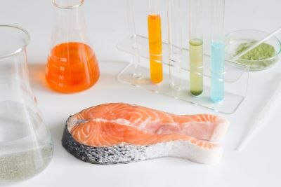 Kjeldahl testing for nitrogen (protein) content A raw salmon fillet on a white surface surrounded by scientific glassware containing substances of different colors