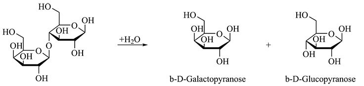 Lactose is composed of the monosaccharides galactose and glucose Lactose is composed of the monosaccharides galactose and glucose.