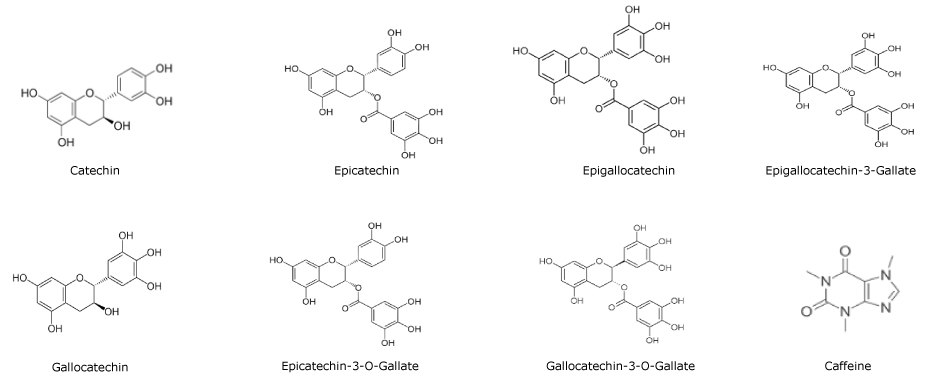 Chemical structures of catechins and caffeine Chemical structures of catechins and caffeine in two rows. The first row from left to right shows catechin, epicatechin, epigallocatechin, and epigallocatechin-3-O-gallate. The second row from left to right shows, gallocatechin, epicatechin-3-O-gallate, gallocatechin-3-O-gallate, and caffeine.