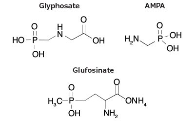 Structures of Glyphosate, AMPA and Glufosinate 2-D chemical structures of herbicides- Glyphosate, AMPA, and Glufosinate