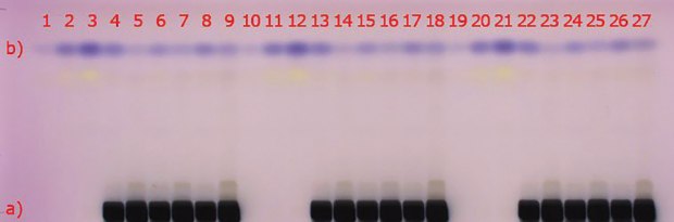 Visualization of the HPTLC plate under visible light (white light) Visualization of the HPTLC gel 60 F254 plate under visible light (white light); a) matrix compounds after staining with anisaldehyde sulfuric acid (black areas);b) 2-methylquinoxaline (blue spot at hRf 80), (reaction product of methylglyoxal with 1,2-phenylenediamine)