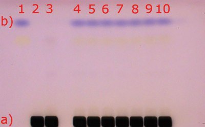 Visualization of the HPTLC plate under visible light (white light) Visualization of the HPTLC Silica gel 60 F254 plate under visible light (white light); a) matrix compounds after staining with anisaldehyde sulfuric acid (black areas); b) 2-Methylquinoxaline (blue spot at hRf 80), (reaction product of Methylglyoxal with 1,2-phenylenediamine)