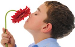 Navigating Fragrance Allergens Navigating Fragrance Allergens