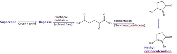 Navigating Natural Flavor Regulations A synthesis diagram wherein sugar cane is crushed/ground into bagasse. The bagasse undergoes a solvent free, heat driven fractional distillation followed by yeast fermentation yielding methyl cyclopentenolone.