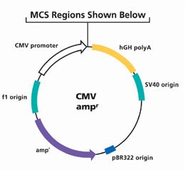 MCS Regions MCS Regions