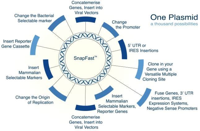 snapfusion-overview snapfusion-overview