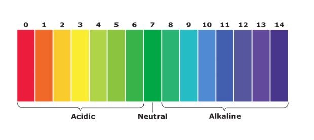 Color Coded PH Range Color-coded pH range from 0 (red) to 14 (purple)