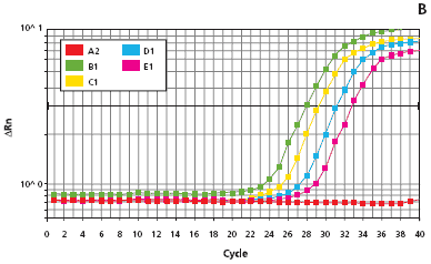 Extract-N-Amp™ Tissue Feature Article amplification plots for the genomic mouse DNA standards
