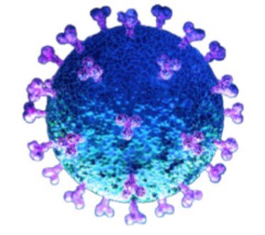 SARS COV 2 SARS-CoV-2 virus particle artist drawing