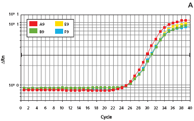 Extract-N-Amp™ Tissue Feature Article amplification plots for the extracts