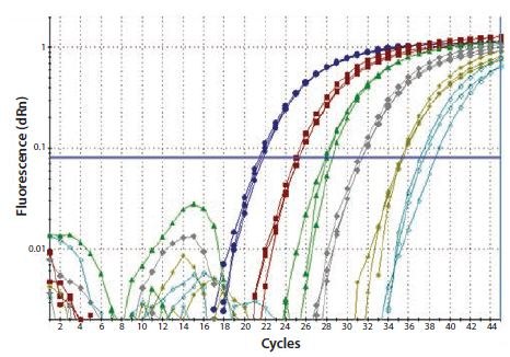 Total RNA was diluted through a serial 10-fold dilution series and a one-step RT-qPCR performed to detect GAPDH. Each reaction was performed in triplicate. This resulted in a linear relationship between the RNA concentration and the cDNA yield (image courtesy of Prof. Stephen Bustin, Anglia Ruskin University, UK). Total RNA was diluted through a serial 10-fold dilution series and a one-step RT-qPCR performed to detect GAPDH. Each reaction was performed in triplicate.