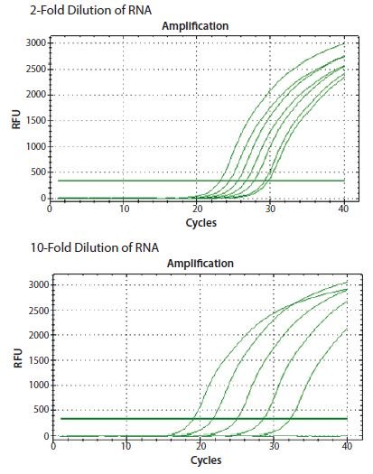 ReadyScript® RT reagent (RDRT) was used to reverse transcribe total RNA from a 2-fold and a 10-fold serial dilution. The gene CANX was detected in both dilution series resulting in a direct proportionality to the input RNA concentration (data from student groups attending an EMBL Advanced qPCR Workshop). ReadyScript® RT reagent was used to reverse transcribe total RNA from a 2-fold and a 10-fold serial dilution.