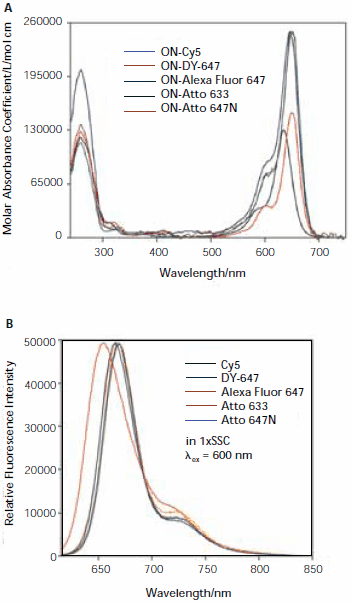 Absorption (A) and fluorescence (B) spectra of oligonucleotidedye conjugates (ON-Dye). Absorption (A) and fluorescence (B) spectra of oligonucleotidedye conjugates (ON-Dye).