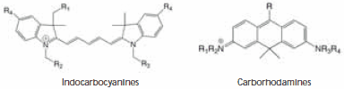 Chemical structures of indocarbocyanines and carborhodamines dyes. Chemical structures of indocarbocyanines and carborhodamines dyes.