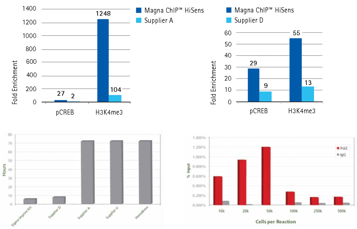 Chromatin Immunoprecipitation (ChIP) Assay Our kits produce higher fold enrichment using low amounts of chromatin or shorter procedure than other supplier's kits