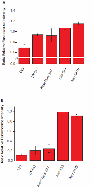 Influence of atmospheric ozone on fluorescence intensity. Hybridized slides were exposed in the dark to ozone concentrations of A) 15 ppb (30 μg/m3) for 30 minutes, and B) 25 ppb (50 μg/m3) for 150 minutes. Intensities were measured before and after exposure. Influence of atmospheric ozone on fluorescence intensity.