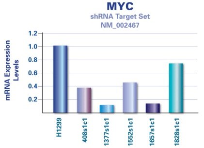 MYC Target Set MISSION<sup>®</sup> shRNA Target Set