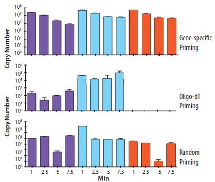 Total RNA was incubated on a naked human hand for the times indicated (1, 2.5, 5 and 7.5 min). cDNA was prepared using gene specific, random or oligo-dT (O4387) priming. The copy number of three genes was determined, as indicated by the purple, turquoise and orange histograms. It is clear that the different priming strategies influence the detection of each gene with oligo-dT (O4387) priming resulting in no detection of gene 3 (orange) which is clearly apparent in the RNA sample since it is detected using gene specific priming (data provided by Prof. Stephen Bustin, Anglia Ruskin University, UK). Total RNA was incubated on a naked human hand for the times indicated (1, 2.5, 5 and 7.5 min). cDNA was prepared using gene specific, random or oligo-dT priming.