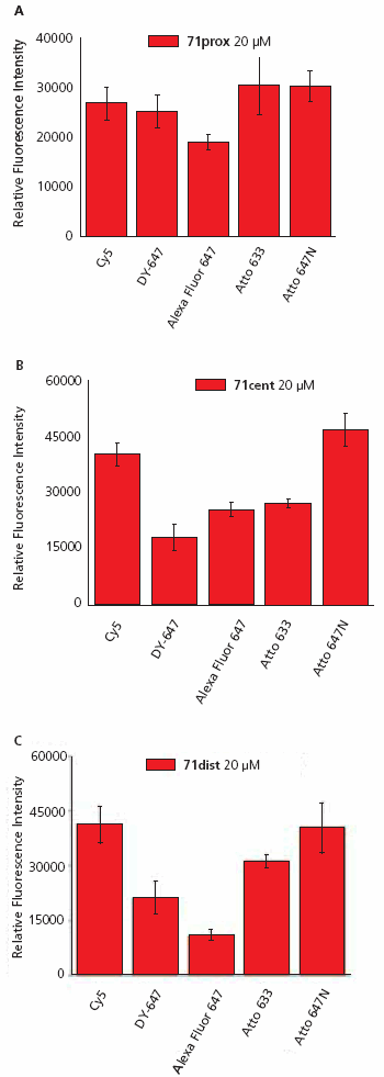 Fluorescence intensities of oligonucleotide-dye conjugates (ON-Dye) after hybridization to complementary 71-mer oligonucleotide (A, 71prox, B, 71cent, or C, 71dist) immobilized on an epoxysilane coated surface. Fluorescence intensities of oligonucleotide-dye conjugates