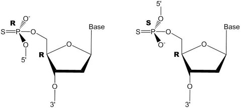 Stereogenic α-phosphorus at one internucleotide linkage. The random R and S configuration results in diastereomers. Figure 2. Stereogenic α-phosphorus at one internucleotide linkage. The random R and S configuration results in diastereomers.