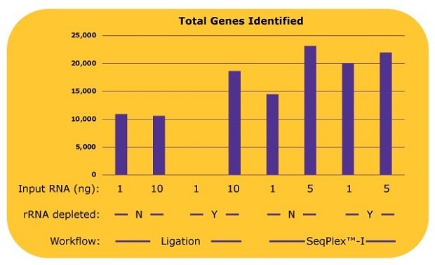 The number of genes identified in each library with differing library preparation workflows Total gene identification for WTA workflows with or without previous rRNA depletion step.