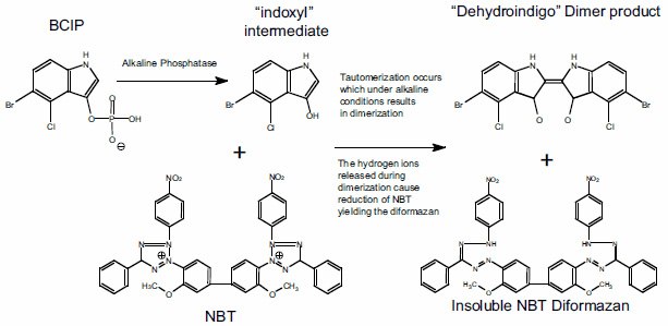 Detection methods structures Detection methods structures