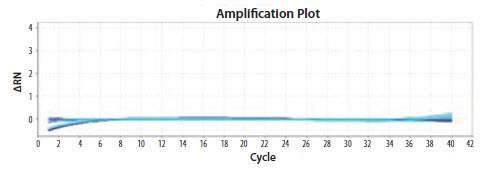 Primers to EIFB1 were tested at concentrations between 200 nM and 900 nM