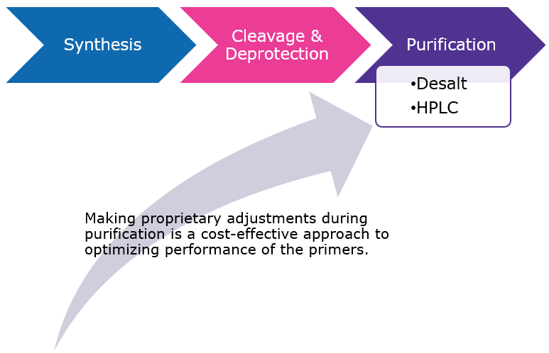 Custom LAMP Primers Graphical representation of the Primer purification process