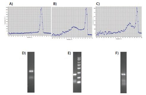 evaluation-of-melt-curves Evaluation of melt curves