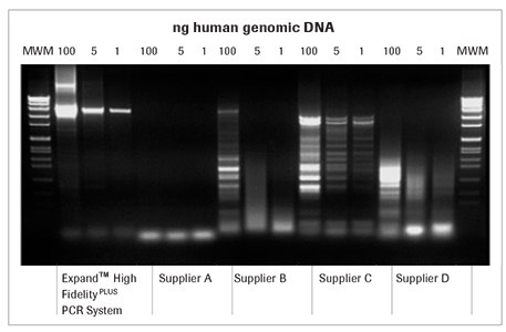 expand-high-fidelity-pcr-comparison expand-high-fidelity-pcr-comparison