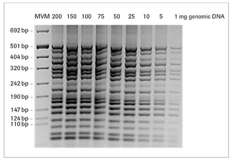 faststart-high-fidelity-pcr faststart-high-fidelity-pcr