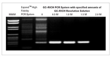 gc-rich-pcr-system-02 gc-rich-pcr-system-02