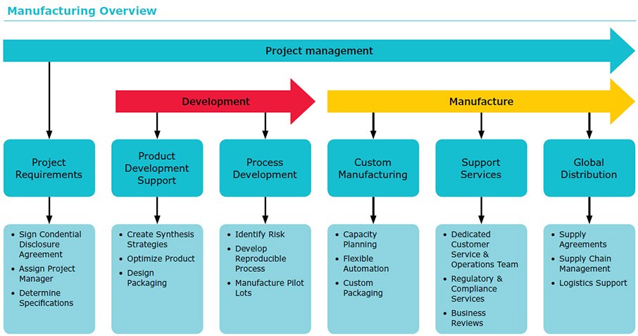Custom Oligos for Commercial Use Manufacturing overview, that is broken into Project Management, Product Development Support & Process Development