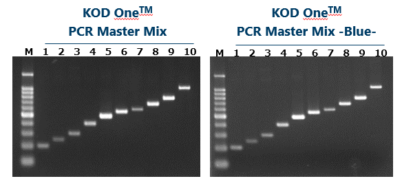 KOD One™ PCR Master Mix Fast PCR: Amplification time using very short cycling conditions