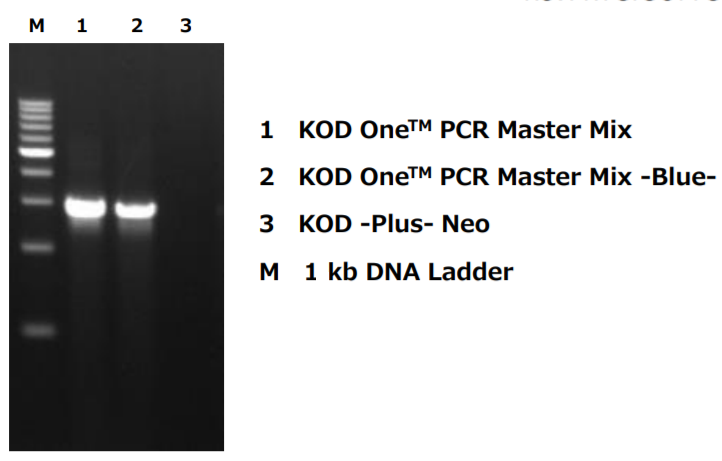KOD One™ PCR Master Mix Primers with dI and dU